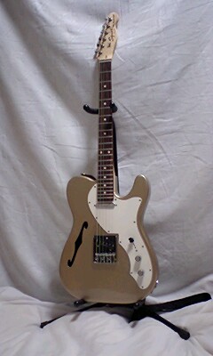 Telecaster Thinline